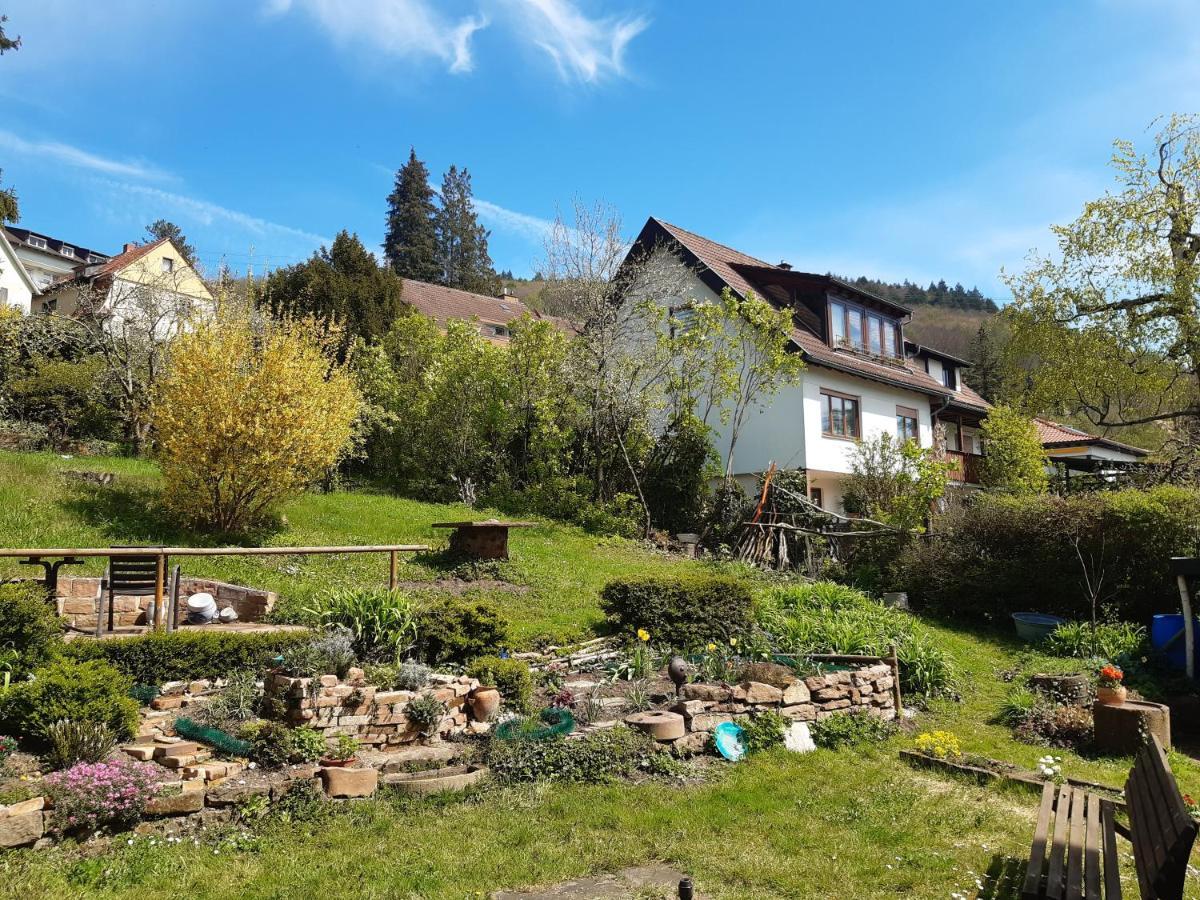 Gastehaus Endrich Ξενοδοχείο Χαϊδελβέργη Εξωτερικό φωτογραφία